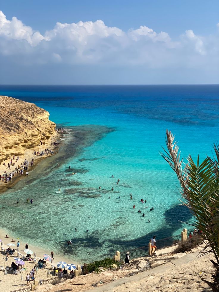 many people are swimming in the clear blue water near an island with sand and palm trees