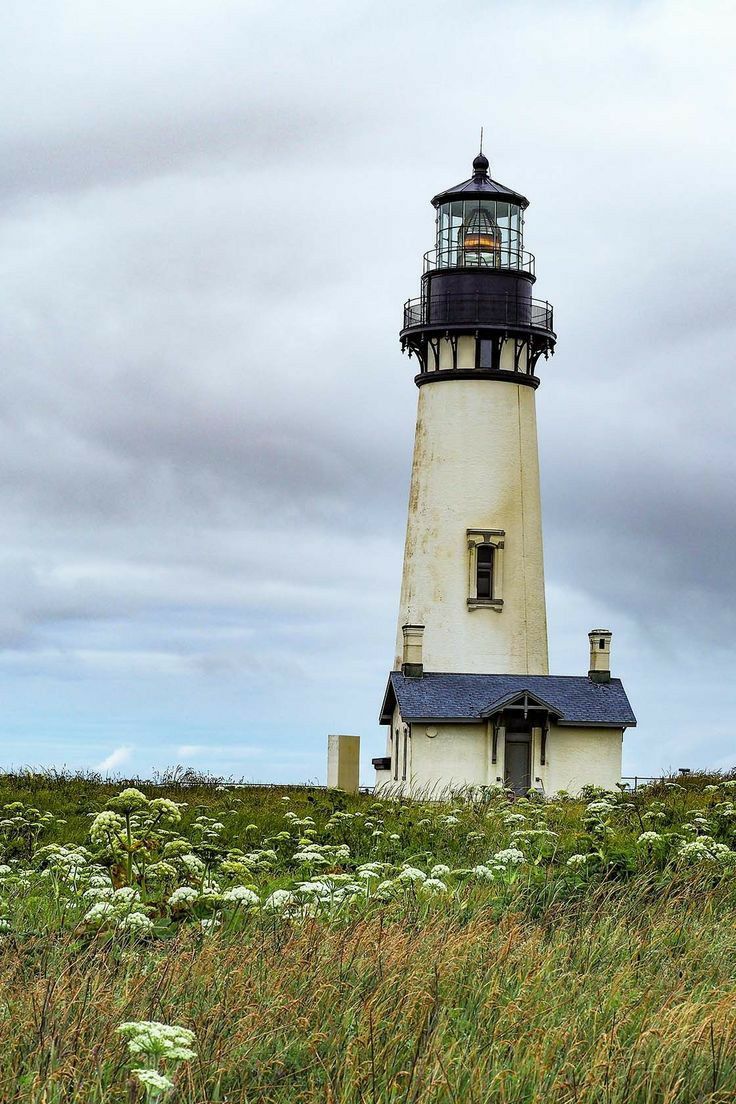 a light house sitting on top of a lush green hillside next to tall grass and wildflowers