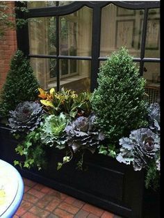 a window box filled with lots of green plants