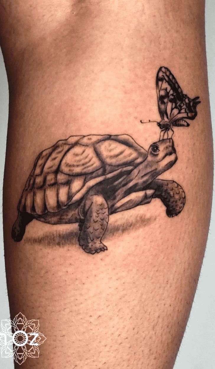 a small turtle with a butterfly on it's back leg, sitting next to a smaller turtle