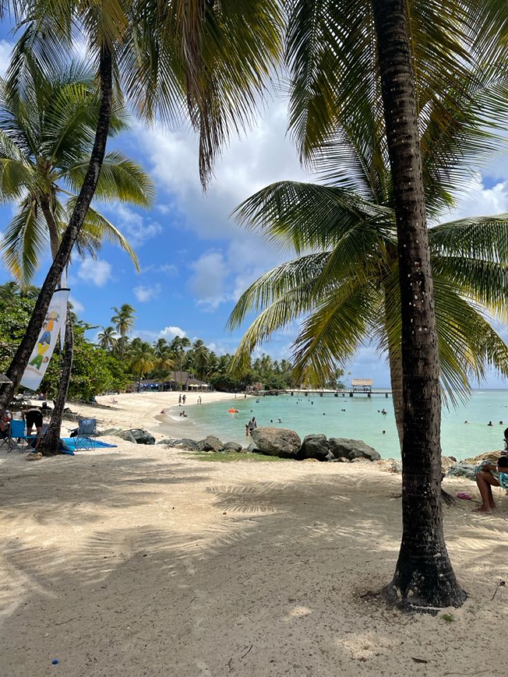 people are sitting on the beach under palm trees