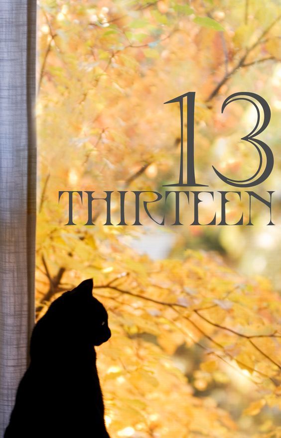 a black cat sitting in front of a window with the words thirteen thirteen on it