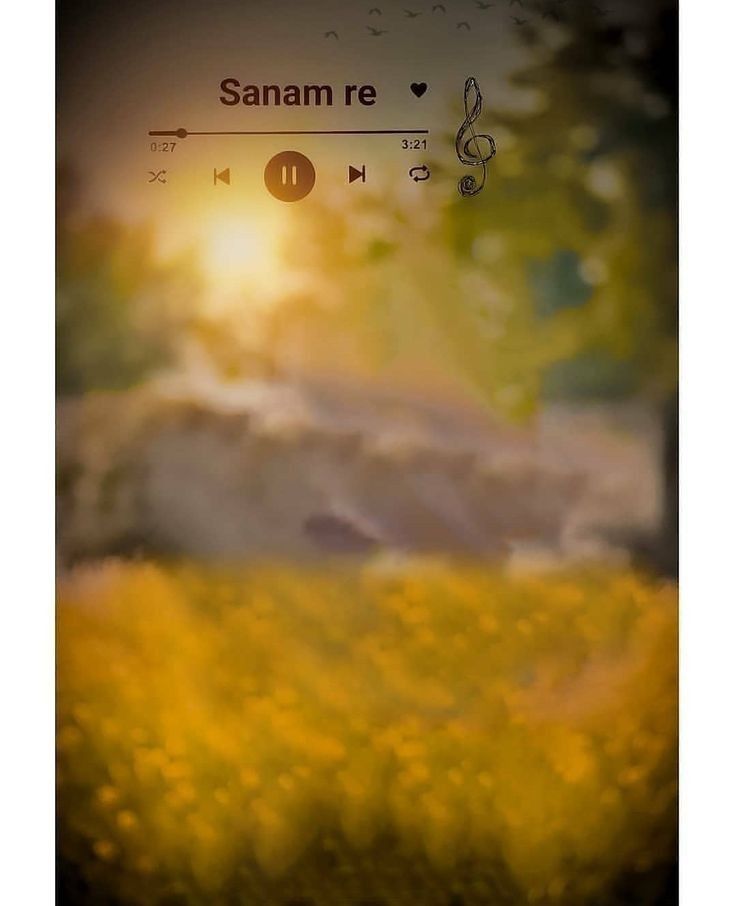 an image of a field with music notes on the front and back side, as well as text that reads sanam re