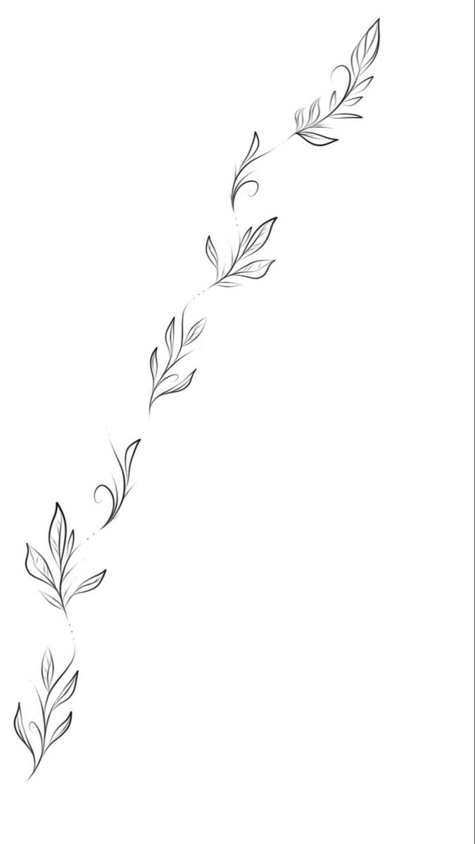 a line drawing of leaves on a white background