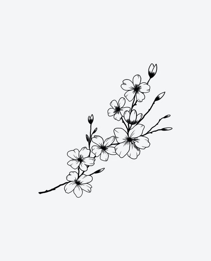 a black and white photo of flowers on a branch