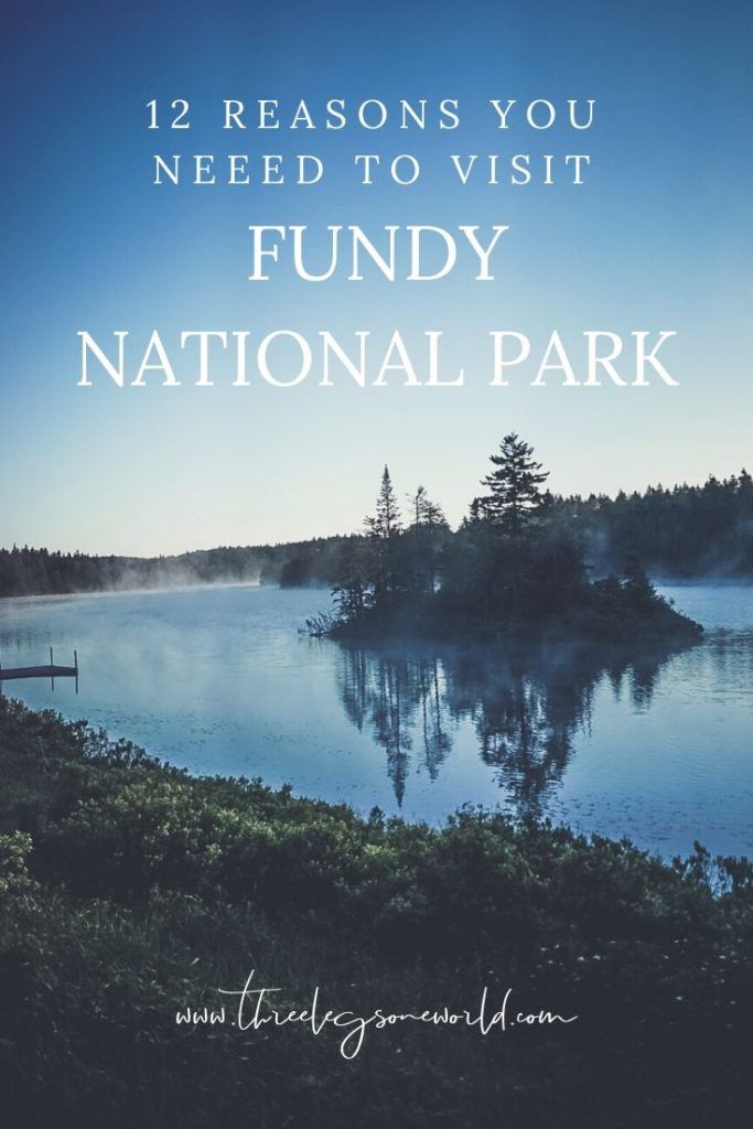 a lake surrounded by trees with the words, 12 reasons you need to visit fundy national