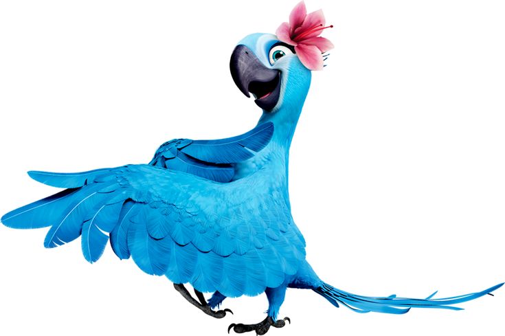 a blue bird with a pink flower on its head is standing in front of a white background