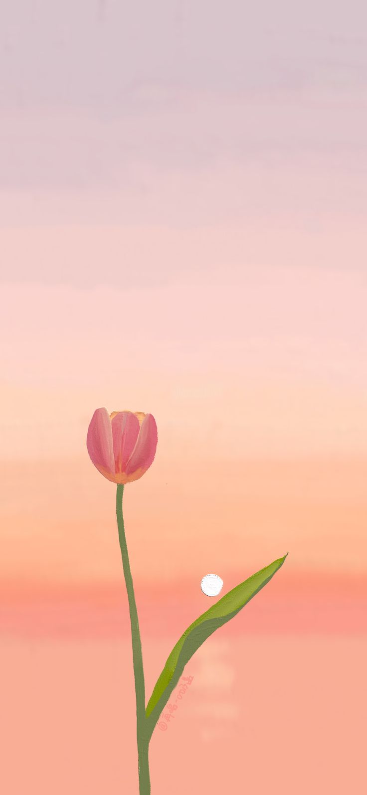 a single pink tulip sitting on top of a green plant