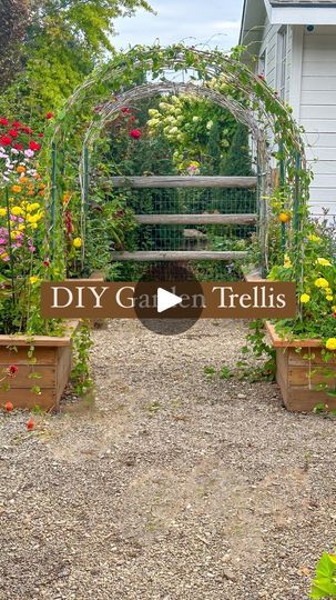 a garden with flowers and plants in it