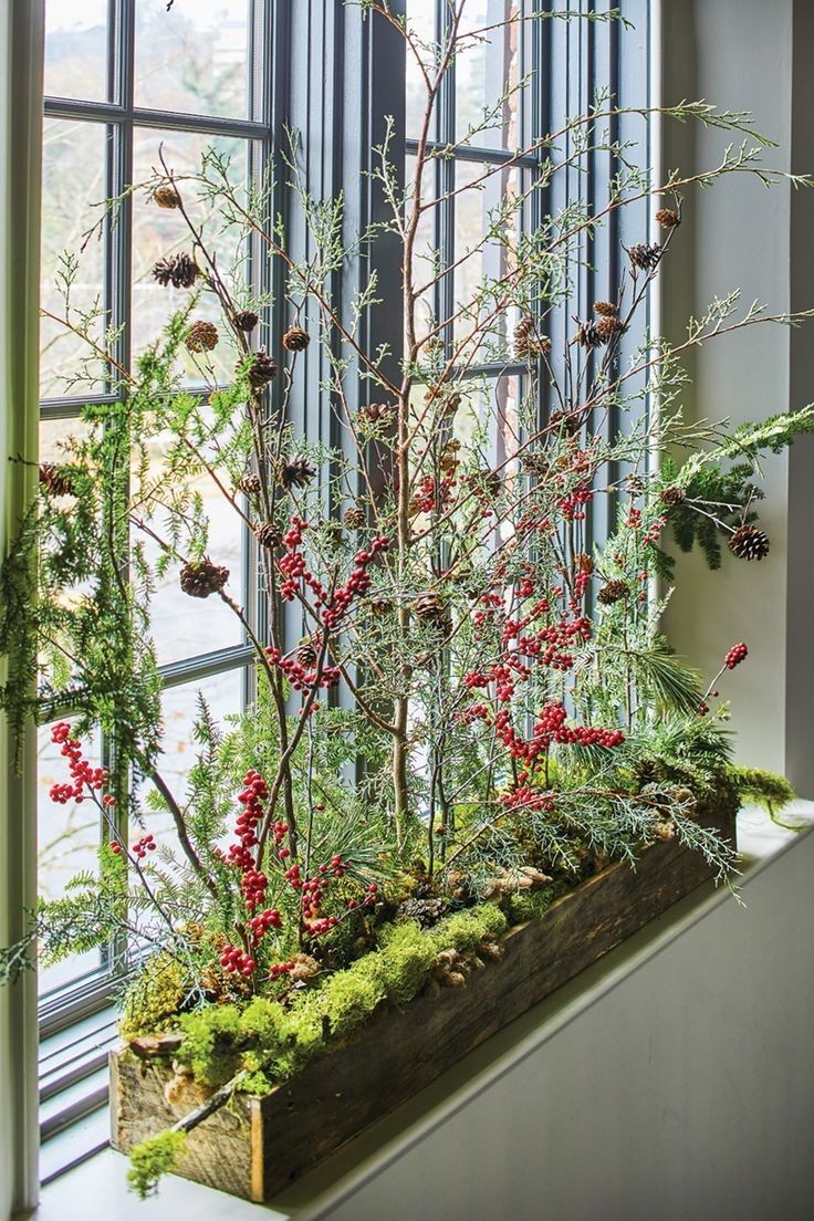 a window sill filled with plants and berries