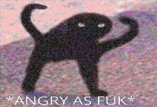 a black cat is standing on its hind legs with the caption angry asfuk