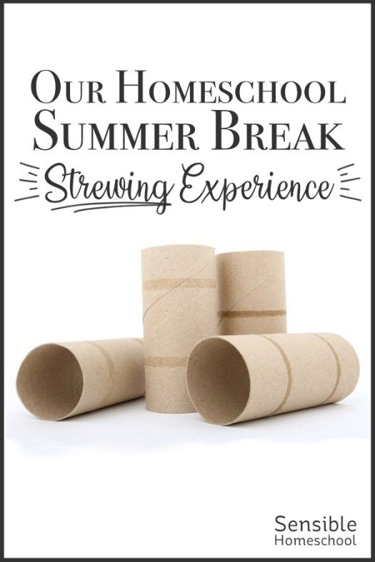 some toilet paper rolls are stacked on top of each other with the words our homeschool summer break brewing experience