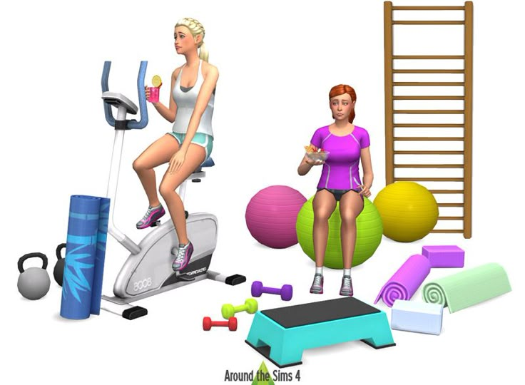 two women are exercising on exercise equipment