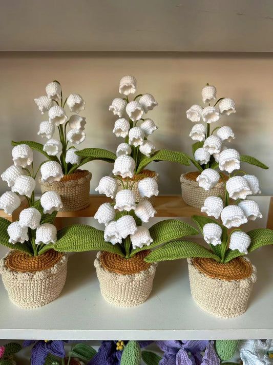 white flowers are in small baskets on a shelf