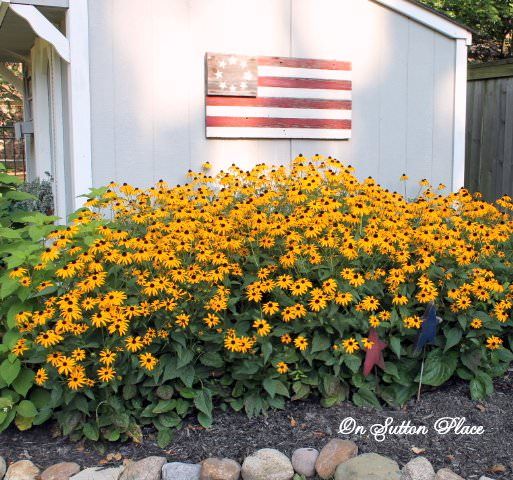 yellow flowers in front of a white shed with an american flag on the back wall