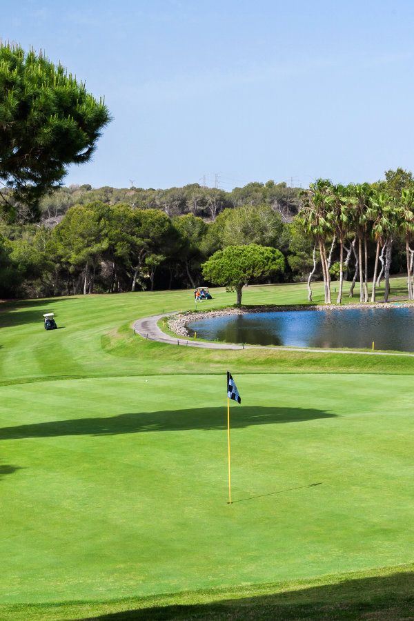 a golf course with water and trees in the background