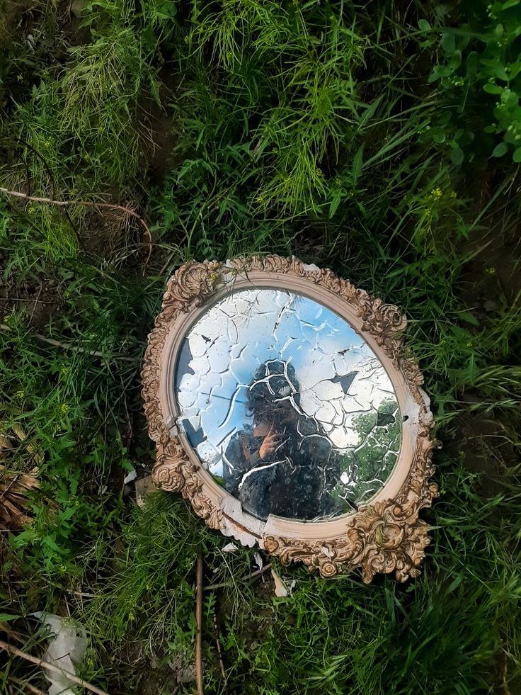 a mirror that is laying in the grass with it's reflection on top of it