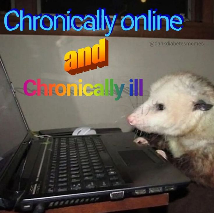 a ferret is sitting on top of a laptop computer with the caption chronically online