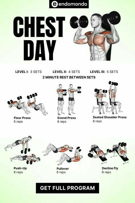 the chest day workout poster shows how to use dumbbells and bench press up