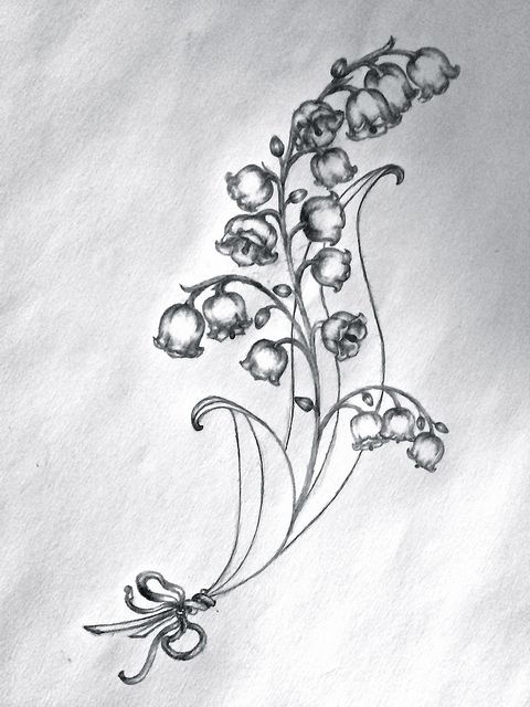 lily of the valley tattoo | Lydia's Tattoo Sketch - Lilies of the valley | Flickr - Photo Sharing! Tattoo Avant Bras, Lily Of The Valley Tattoo, Wildflowers Tattoo, Valley Tattoo, Lily Of Valley, 16 Tattoo, Lilies Of The Valley, Flower Tattoo Drawings, Lily Of The Valley Flowers