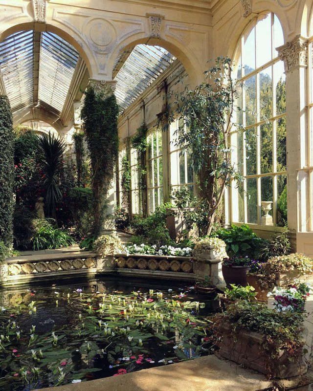 the inside of a building with many windows and plants