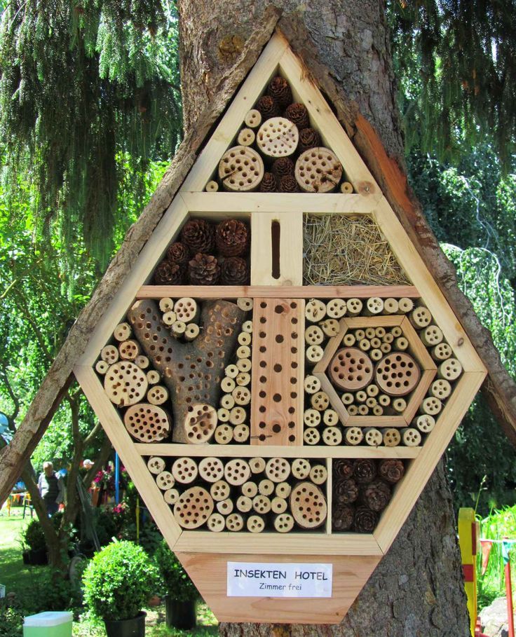 a bee hotel built into the side of a tree with lots of bees in it