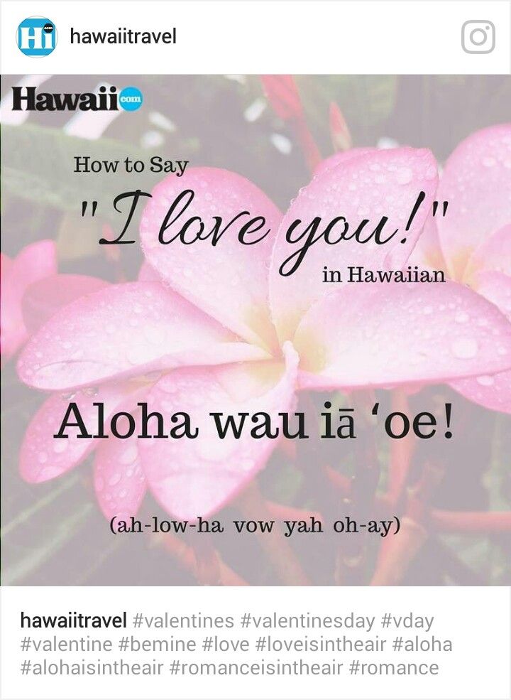 a pink flower with the words how to say i love you in hawaiian