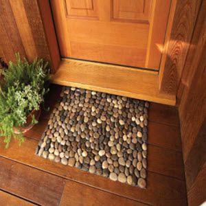 a potted plant sitting on top of a wooden floor next to a door mat