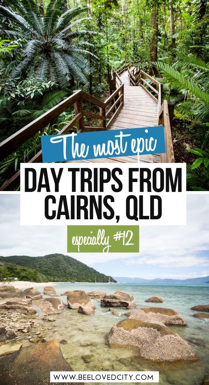 the most epic day trips from cabins, qld