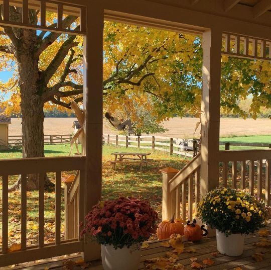 the porch is covered in fall foliage and has two large potted plants on it