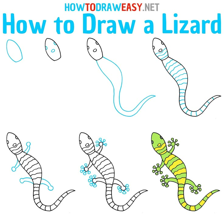 how to draw a lizard for kids