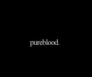 the word pure blood in white on a black background