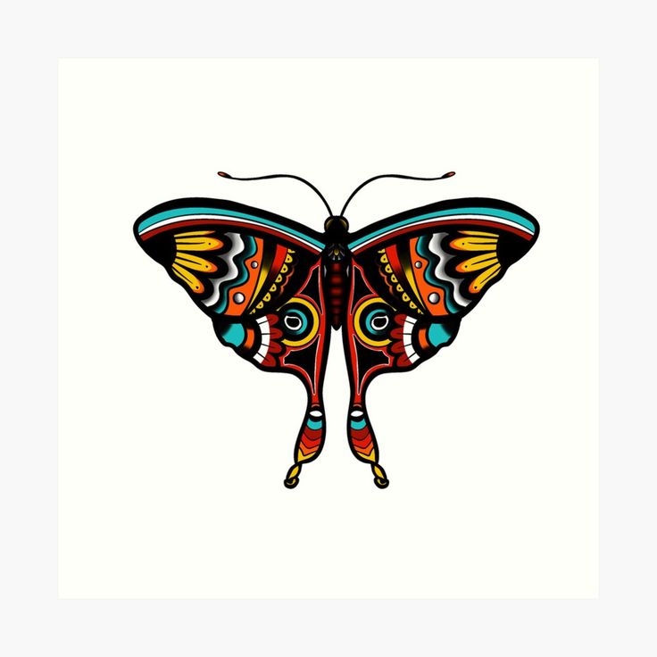 a colorful butterfly on a white background