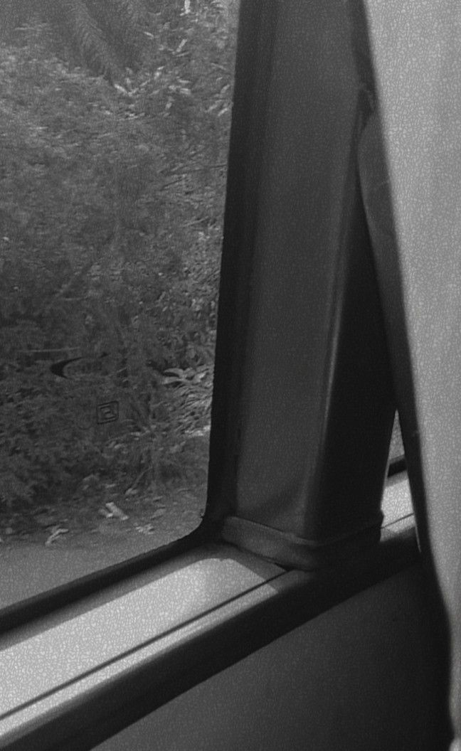 a black and white photo of a cat looking out the window