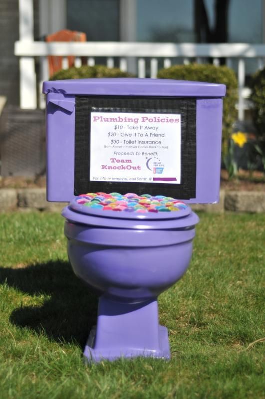 a purple toilet sitting on top of a green grass covered field in front of a house