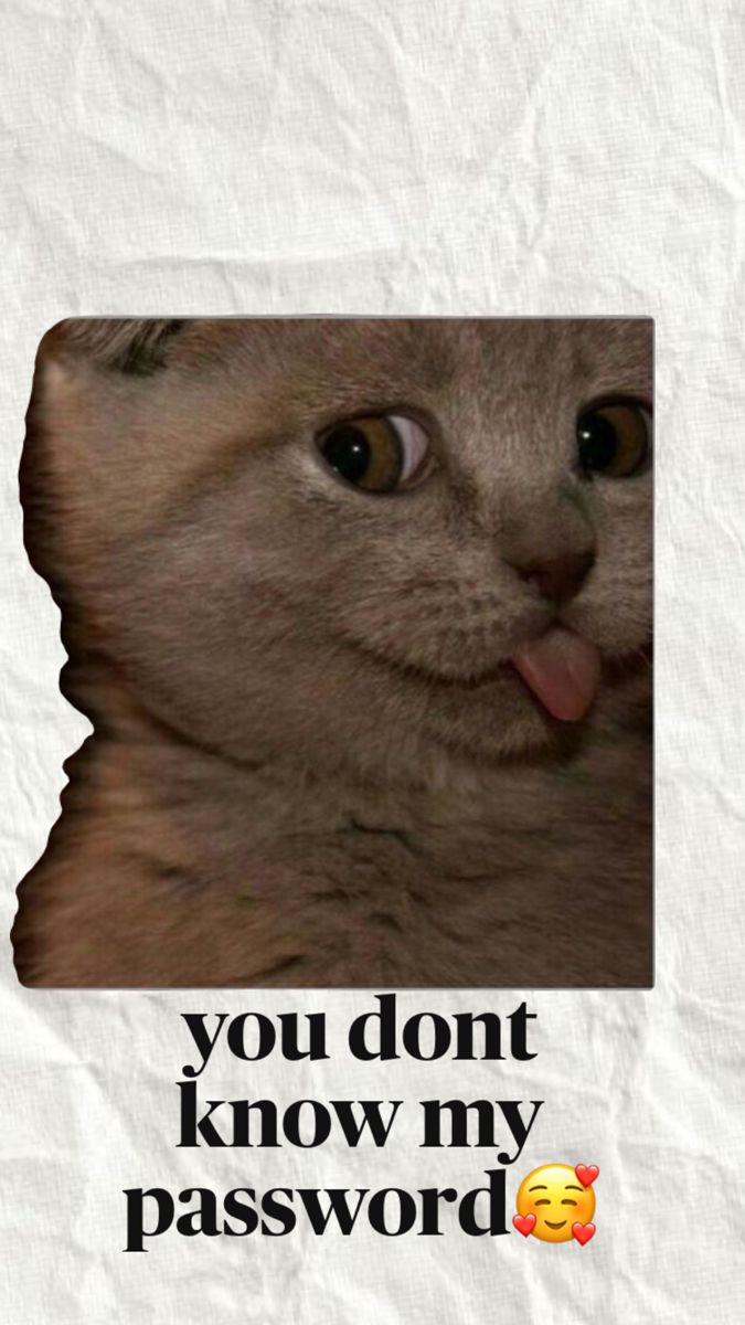 a cat sticking its tongue out with the caption you don't know my password