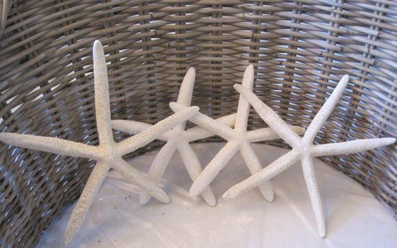 two white starfish sculptures sitting in a wicker basket