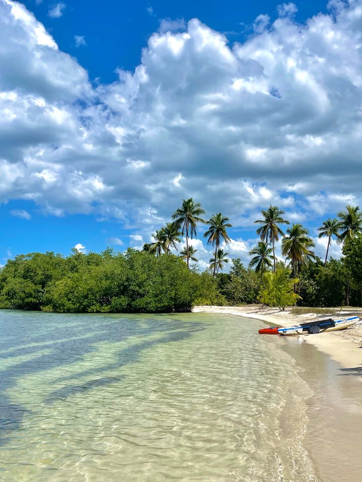 Beach in Puerto Rico, there’s big bushes and palm trees. Cabo Rojo Puerto Rico Beach, Travel Aesthetic Puerto Rico, Puerto Rico Cabo Rojo, Puerto Rico Nature, Puerto Rico Vacation Aesthetic, Puerto Rico Inspo Pics, Puerto Rico Aesthetic Pictures, Flamenco Beach Puerto Rico, Puerto Rico Wallpaper