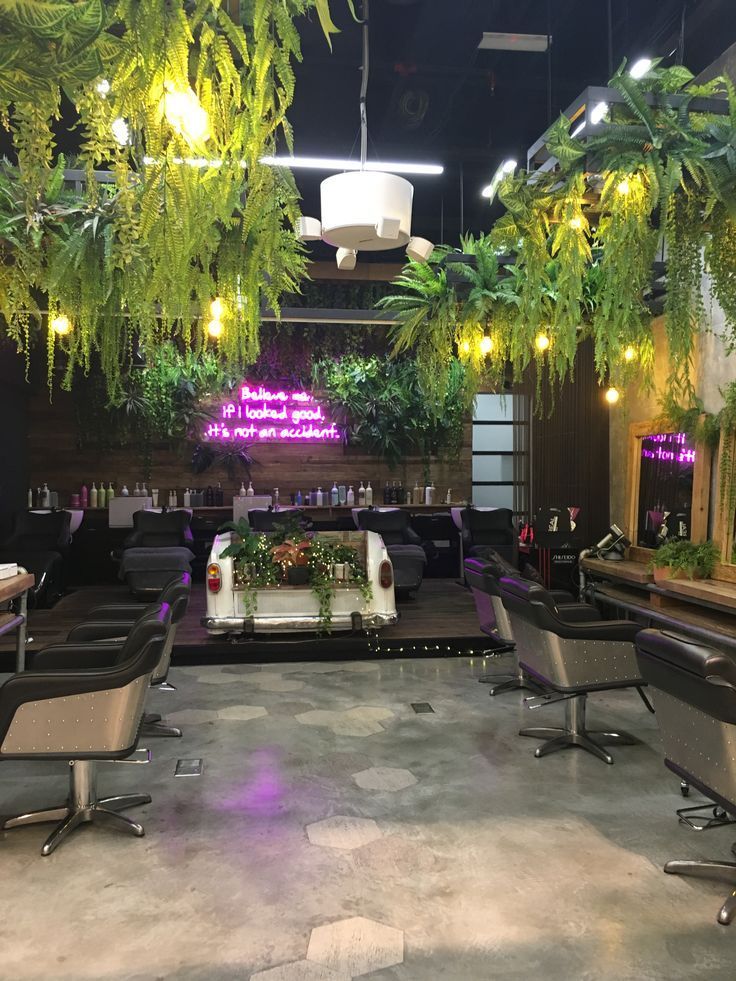 an indoor lounge area with chairs and plants hanging from the ceiling in front of it