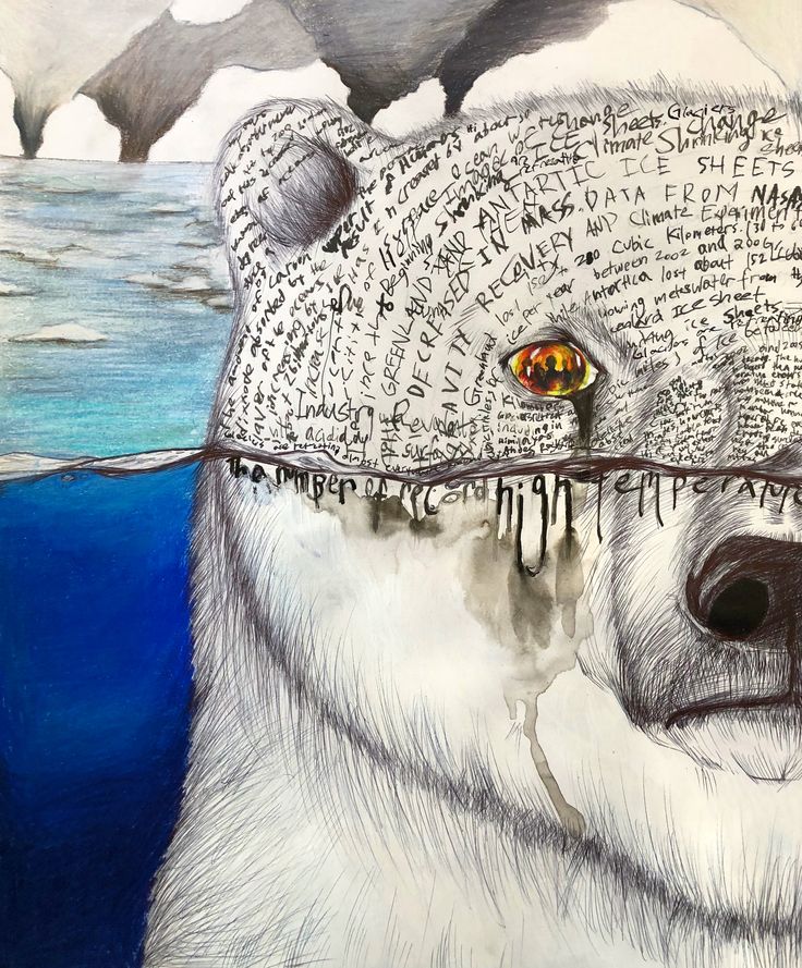 a drawing of a polar bear with writing on it's face and water in the background