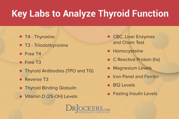 Thyroid Healing Diet, Hashimotos Symptoms, Low Thyroid Remedies, Thyroid Remedies, Adrenal Gland, Thyroid Healing, Thyroid Test, Low Thyroid, Thyroid Symptoms