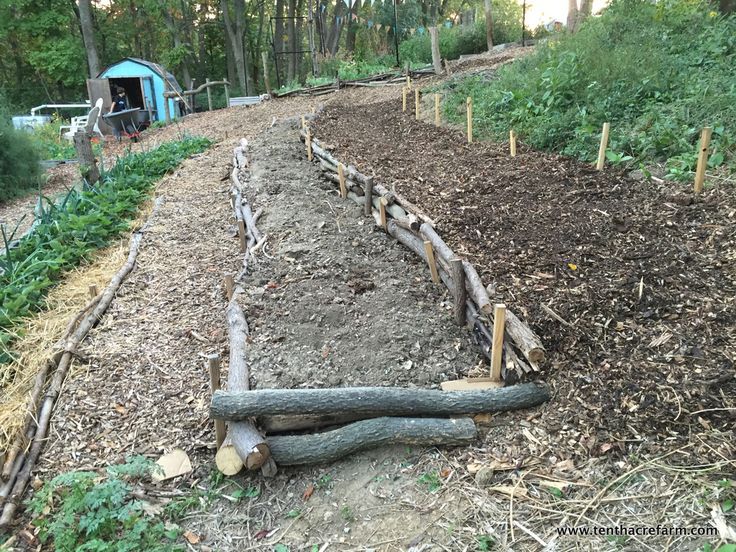 the garden is ready to be planted and used as an outdoor space for wildlife viewing