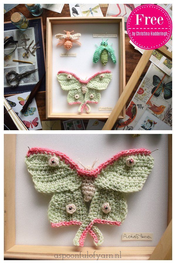 crocheted butterflies are featured in two different frames, one is green and the other is pink