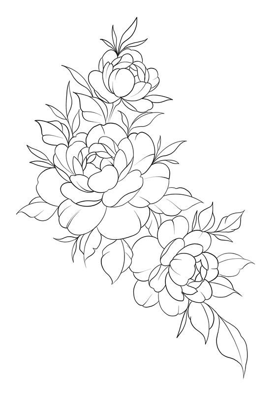 a line drawing of flowers on a white background