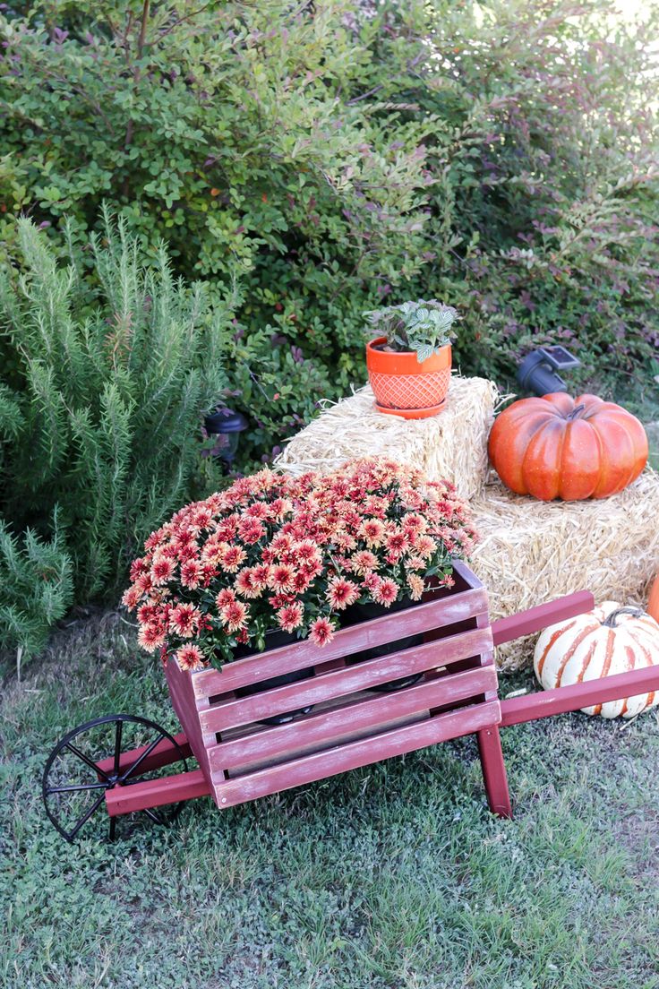 pumpkins, hay bales and flowers sit on the grass