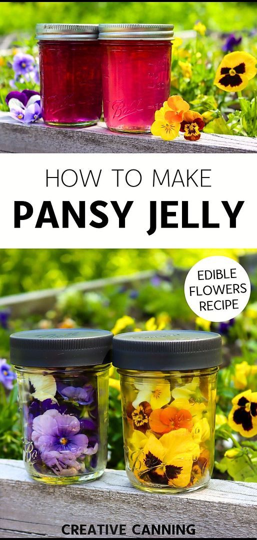 two jars filled with flowers and the words how to make pansy jelly