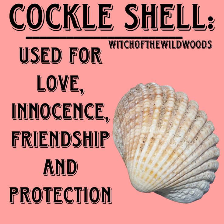 a poster with the words cockle shell used for love, inocence, and protection