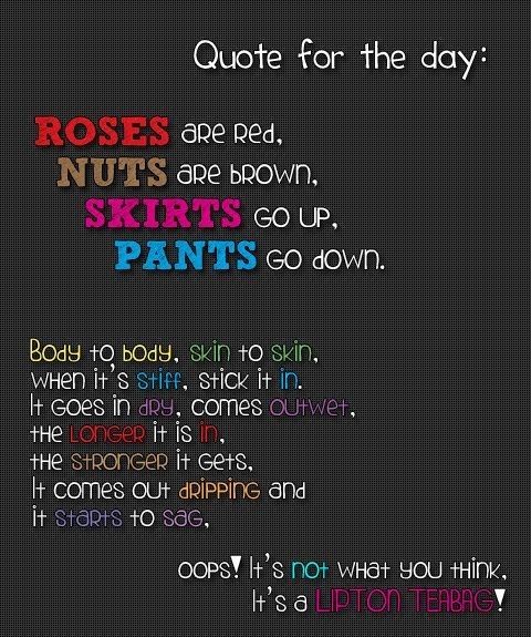 a quote that says roses are red, nuts are brown, skirts go up, pants go down