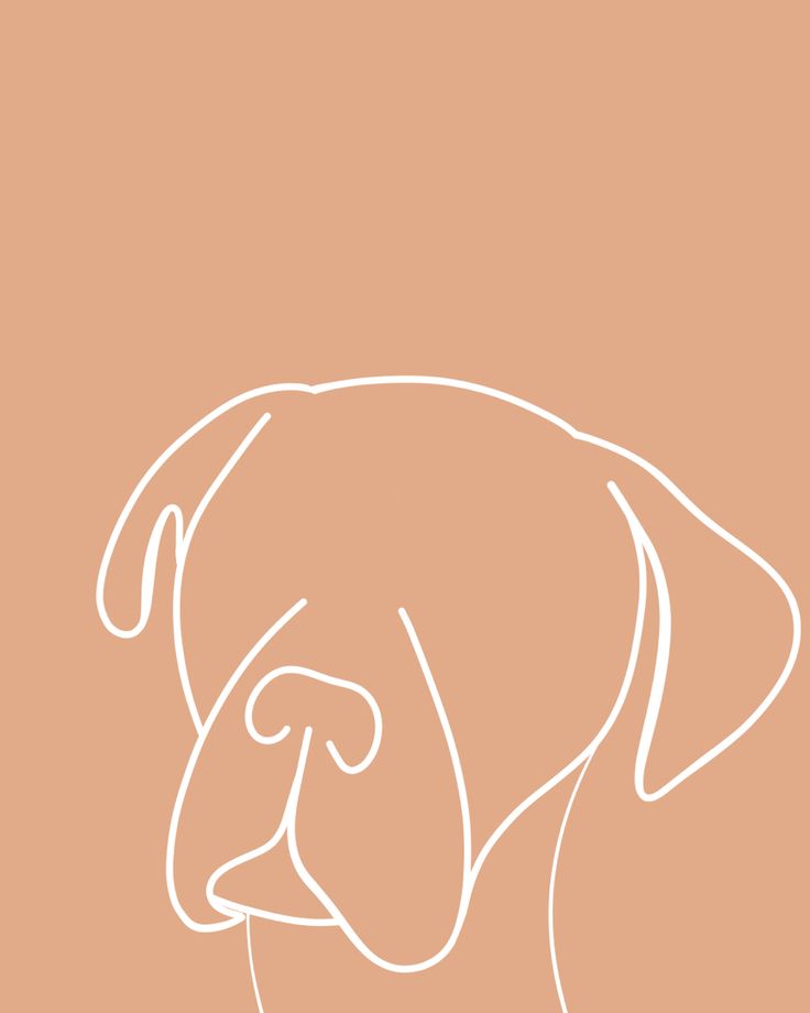 Dog line art | Print | Boxer | Puppy | Labrador | Cute | Printable | Freebie | Wallpaper | Boxer Ears Outline Tattoo, Dog Boxer Tattoo, Boxer Line Art, Boxer Dog Line Art, Boxer Outline Tattoo, Boxer Tattoo Dog, Boxer Dog Wallpaper, Boxer Outline, Up Carl Y Ellie