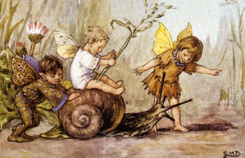 the three little fairy children are playing in the woods with their friends and one is on top of a snail